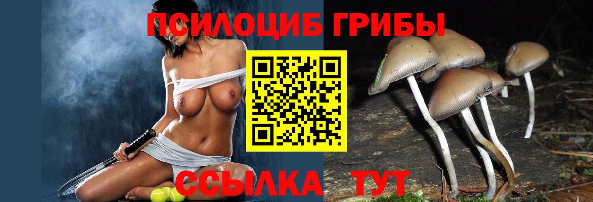 Галлюциногенные грибы прущие грибы  Вход с VPN  Тула 